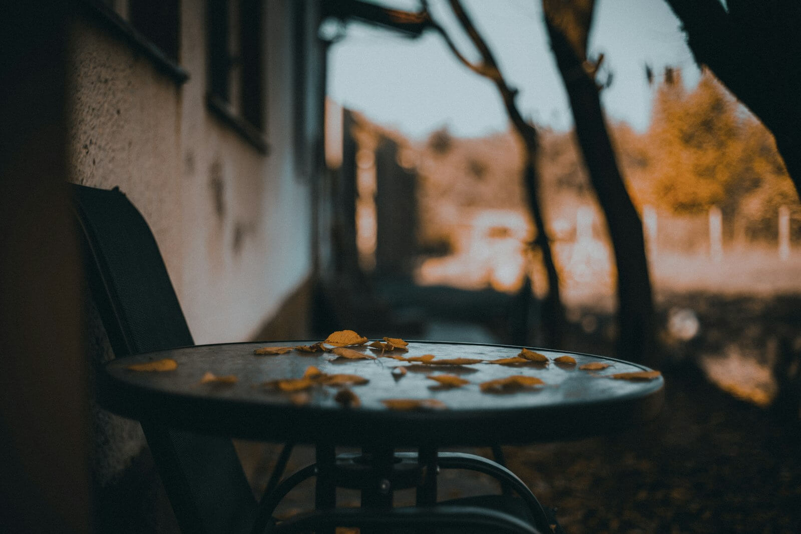 Outdoor patio with dry leaves moved by airflow
